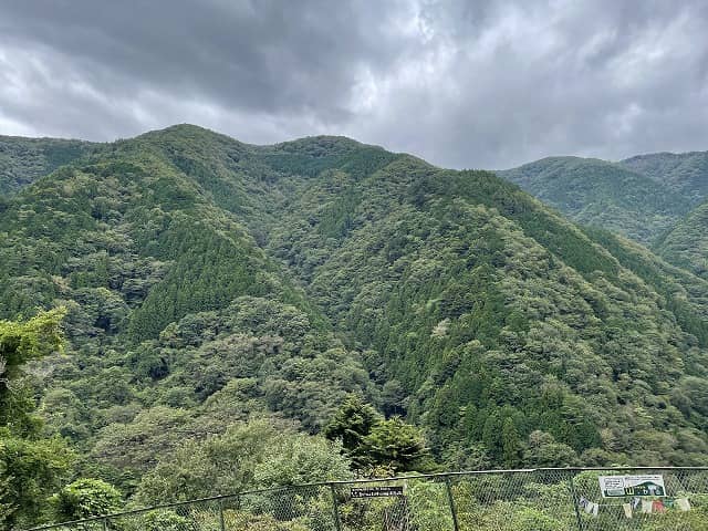 株式会社ファースト不動産鑑定